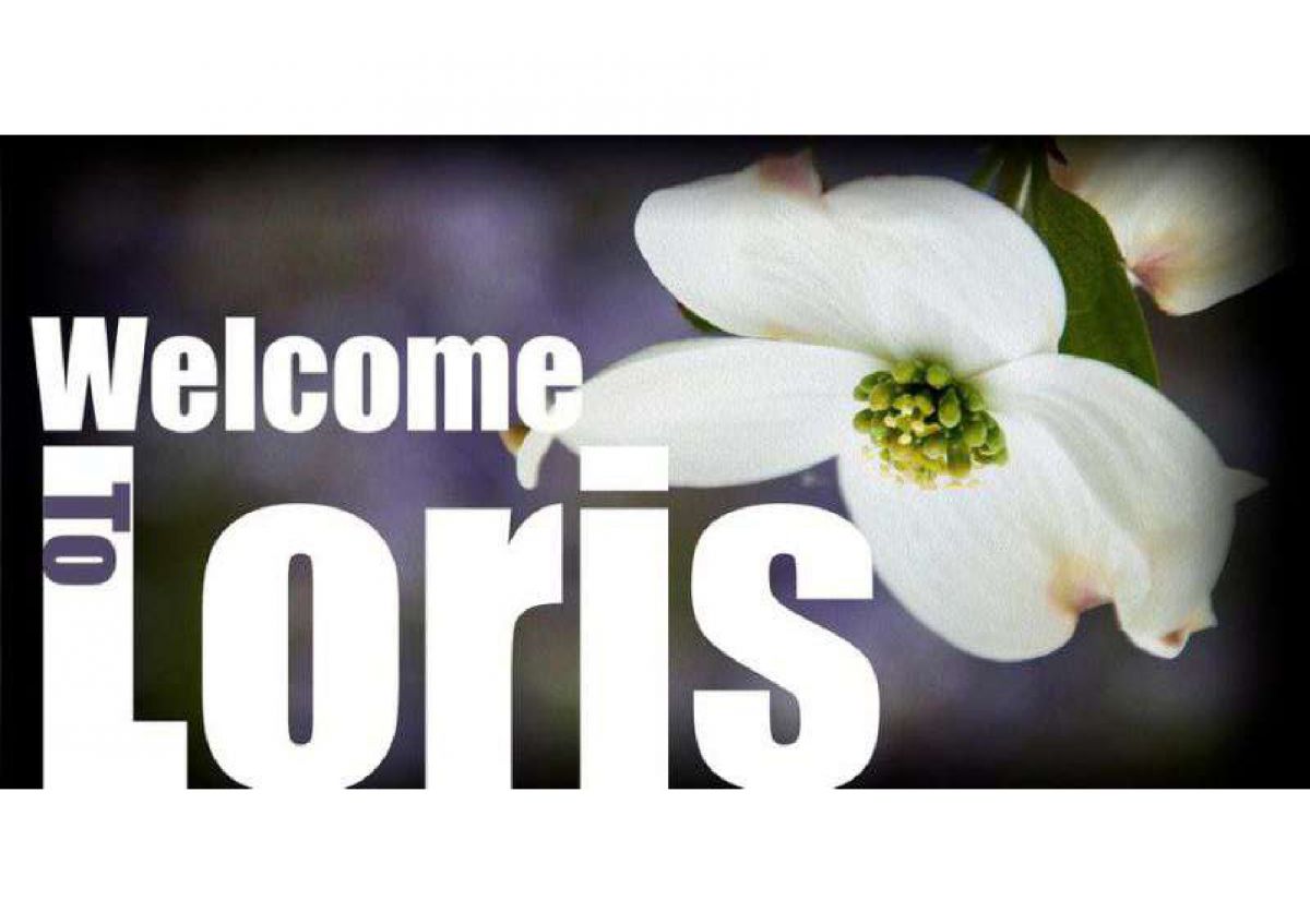 Welcome to Loris Flyer